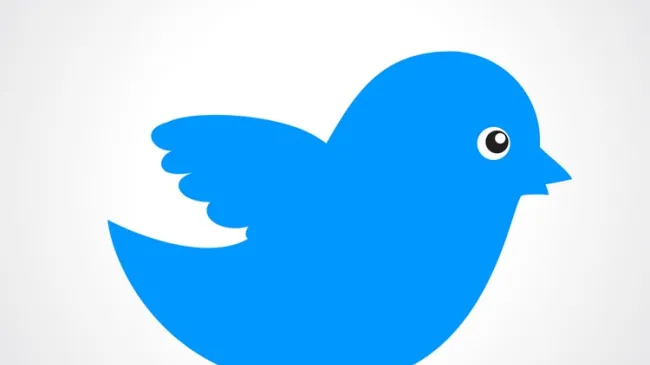 Twitter bird